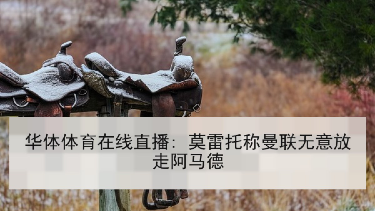 华体体育在线直播: 莫雷托称曼联无意放走阿马德 华体体育在线直播: 莫雷托称曼联无意放走阿马德