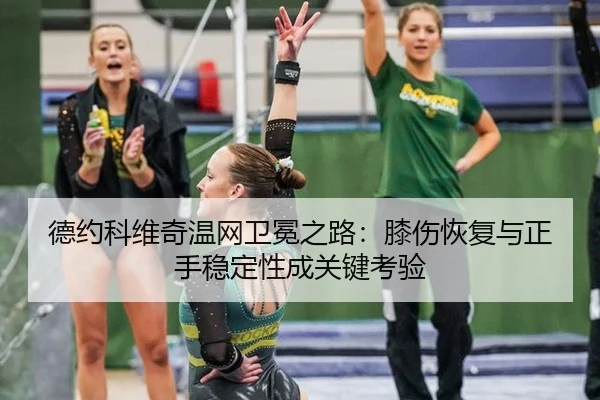 de-yue-ke-wei-qi-wen-wang-wei-mian-zhi-lu-xi-shang-hui-fu-yu-zheng-shou-wen-ding-xing-cheng-guan-jian-kao-yan-3-331.jpg